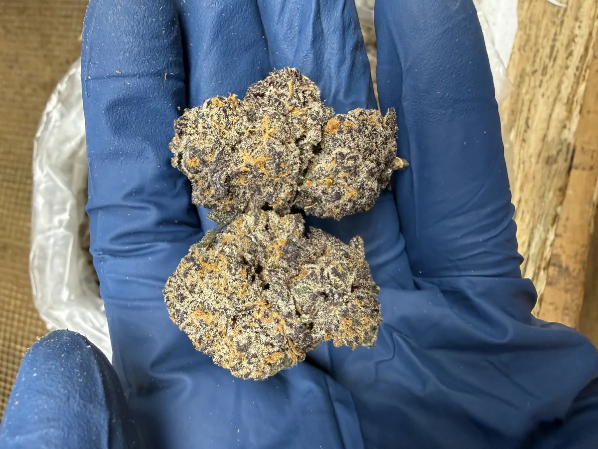 Grape Biscotti Flower